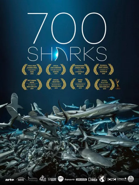 700 акул — постер