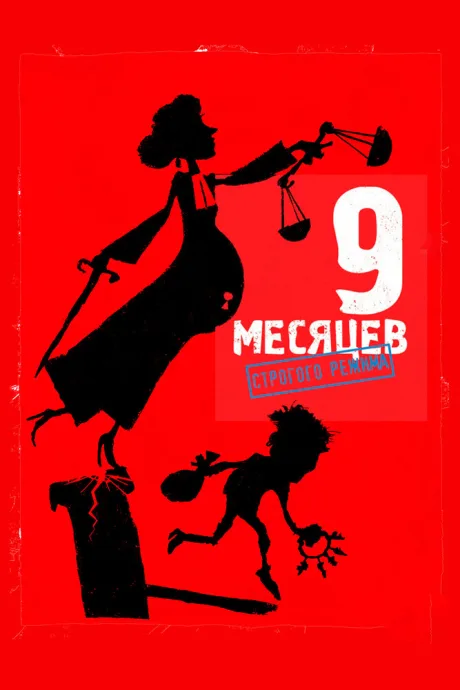 9 месяцев строгого режима — постер