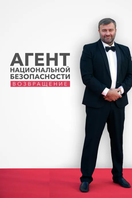 Агент национальной безопасности. Возвращение — постер