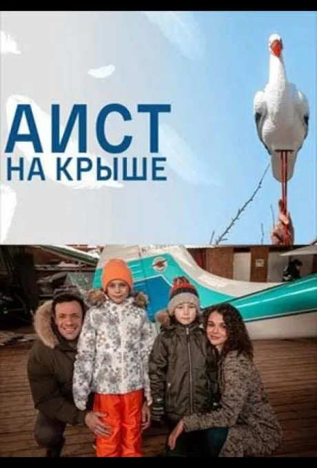 Аист на крыше — постер