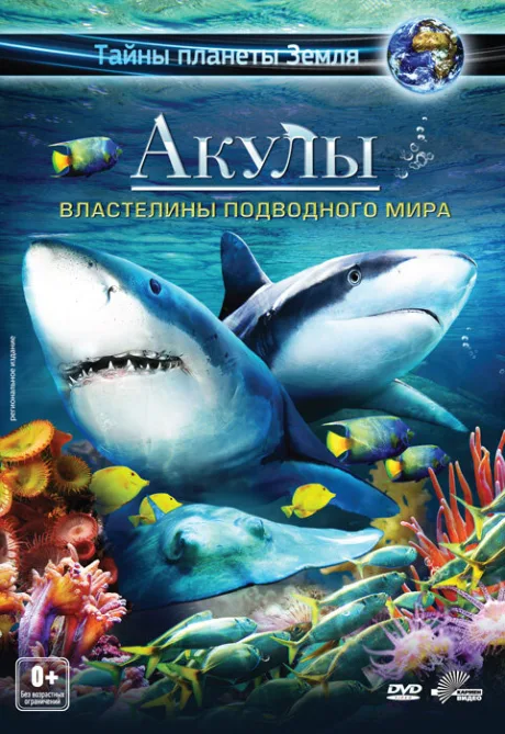 Акулы 3D: Властелины подводного мира — постер