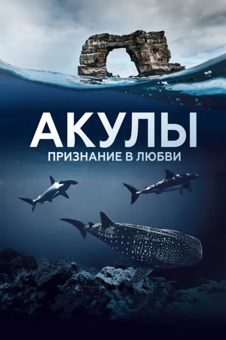 Акулы. Признание в любви — постер