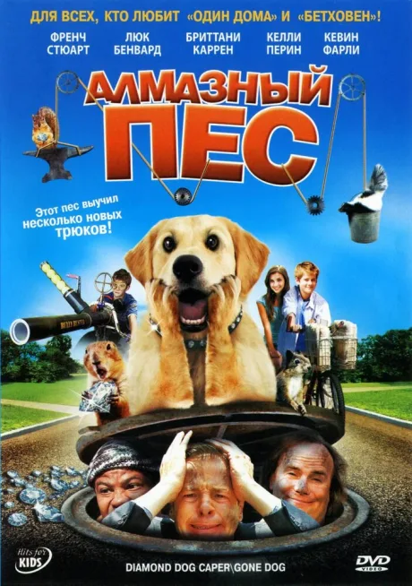 Алмазный пес — постер