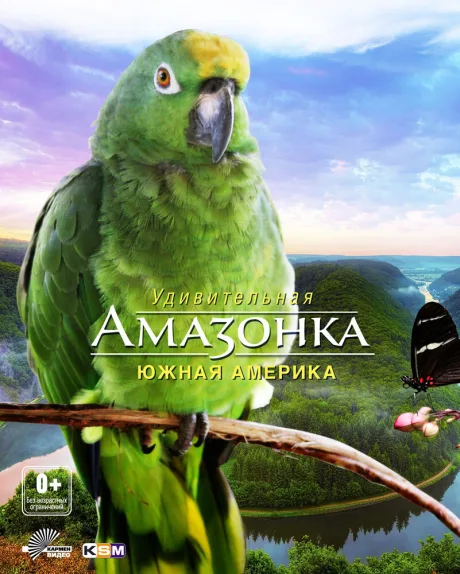 Амазонка 3D — постер