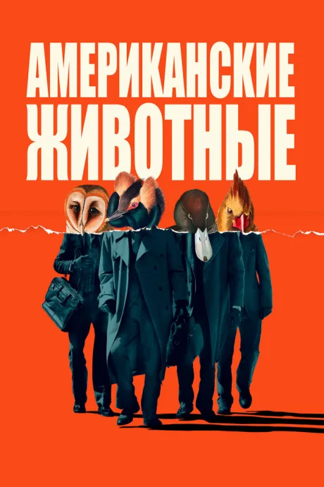 Американские животные — постер