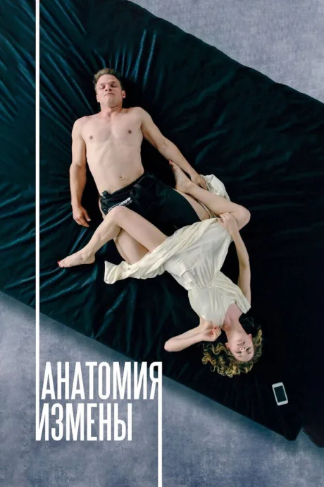 Анатомия измены — постер
