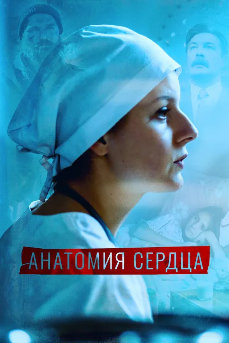 Анатомия сердца — постер