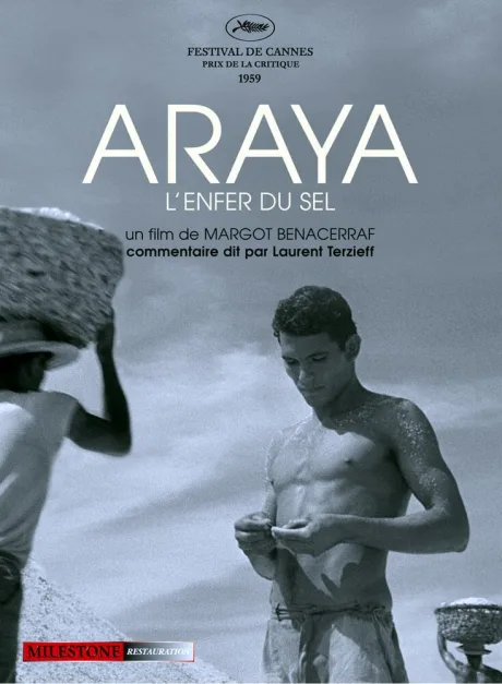 Арайа — постер