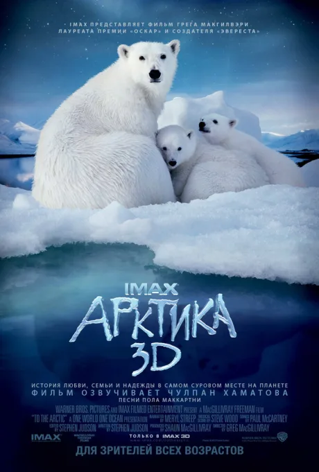 Арктика 3D — постер