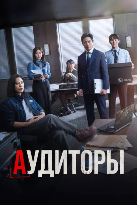 Аудиторы — постер