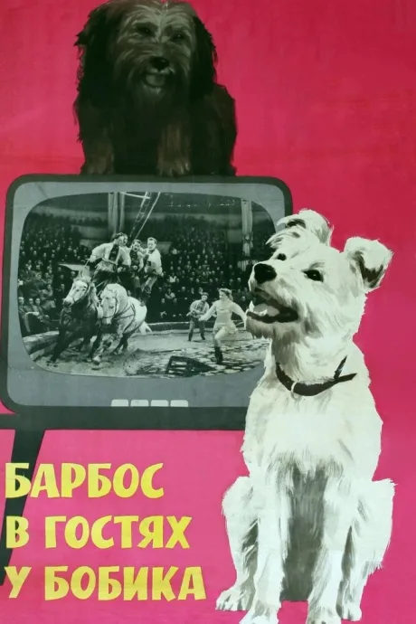 Барбос в гостях у Бобика — постер