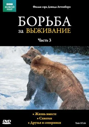 BBC: Борьба за выживание — постер