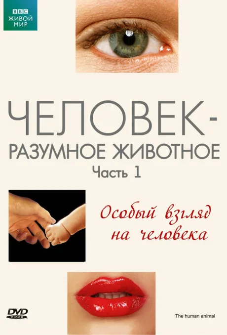 BBC: Человек – разумное животное — постер