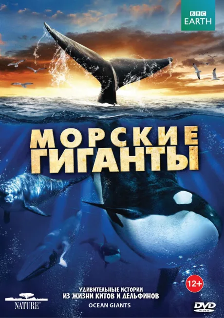 BBC: Морские гиганты — постер