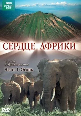 BBC: Сердце Африки — постер