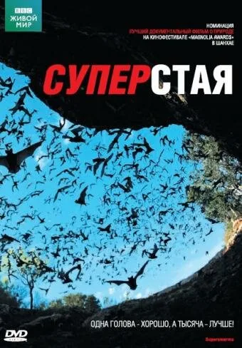 BBC: Суперстая — постер
