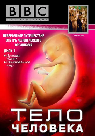 BBC: Тело человека — постер