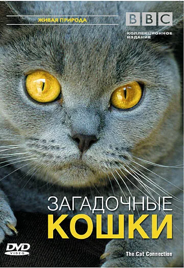 BBC: Загадочные кошки — постер