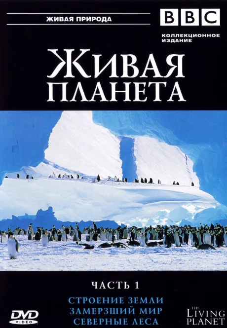 BBC: Живая планета — постер