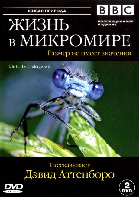 BBC: Жизнь в микромире — постер