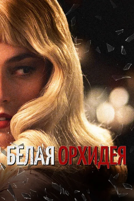 Белая орхидея — постер