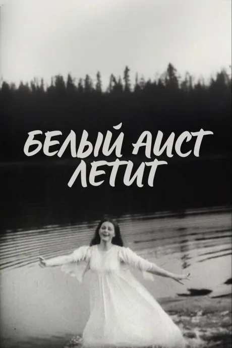 Белый аист летит — постер