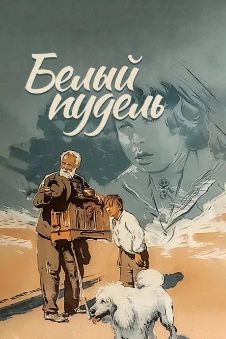 Белый пудель — постер