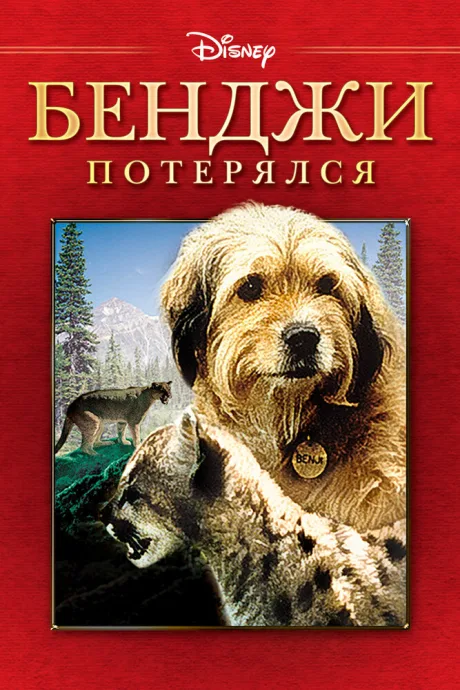Бенджи потерялся — постер