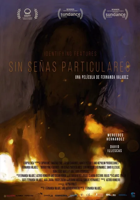 Без особых примет — постер