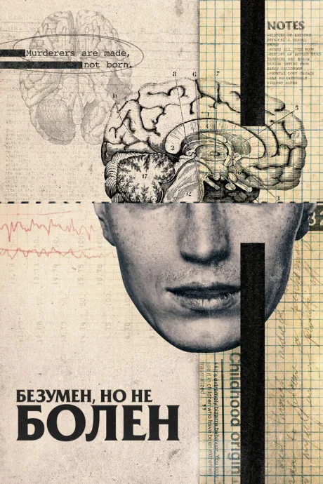 Безумен, но не болен — постер