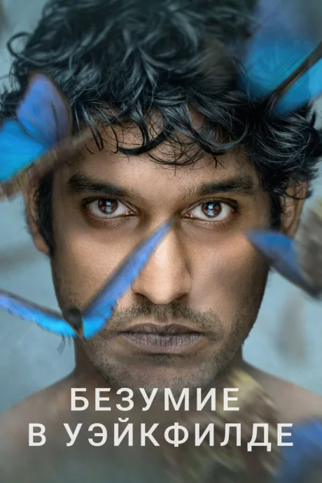 Безумие в Уэйкфилде — постер