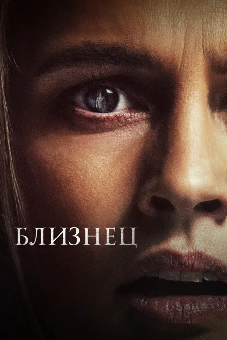 Близнец — постер