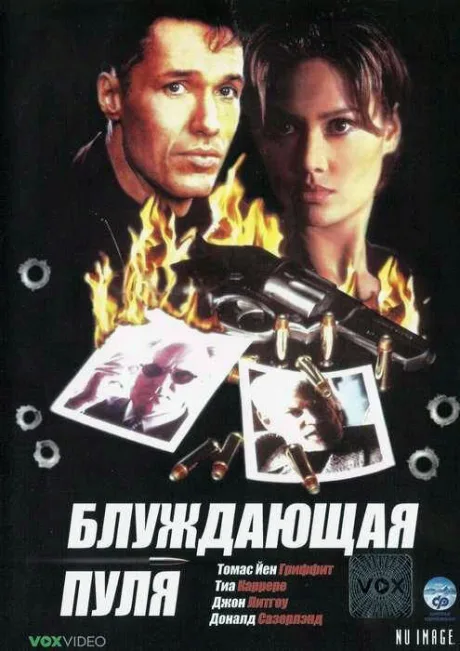 Блуждающая пуля — постер