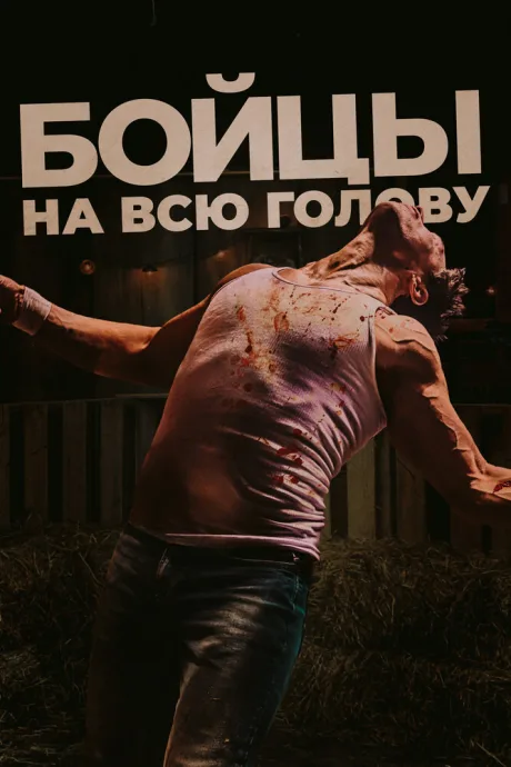 Бойцы на всю голову — постер