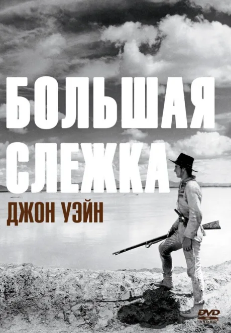 Большая слежка — постер