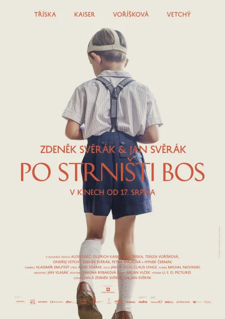 Босиком по стерне — постер
