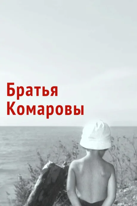 Братья Комаровы — постер
