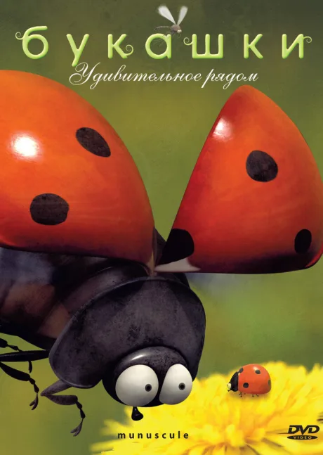 Букашки — постер