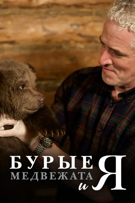 Бурые медвежата — постер