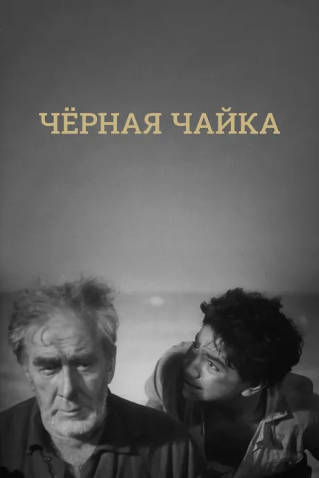 Черная чайка — постер