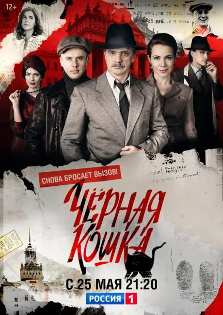 Черная кошка — постер