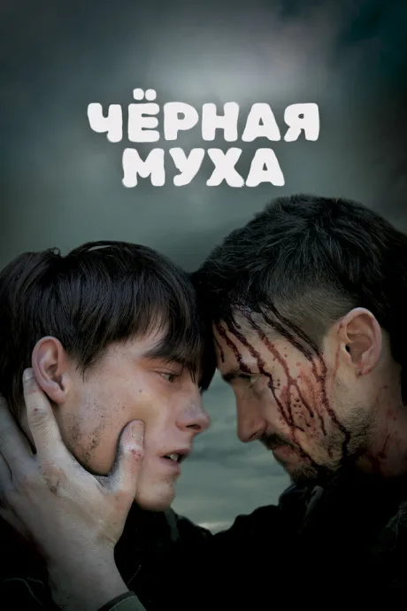 Черная муха — постер
