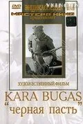 Черная пасть — постер