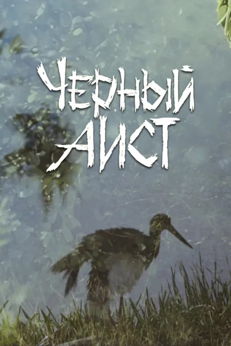 Черный аист — постер