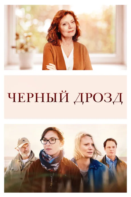 Чёрный дрозд — постер