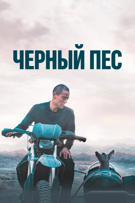 Чёрный пёс — постер