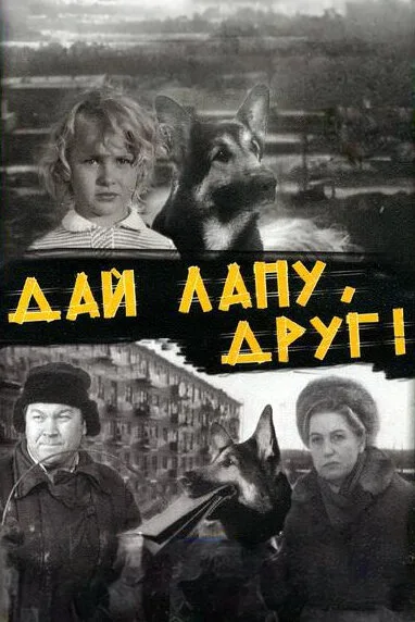 Дай лапу, Друг — постер