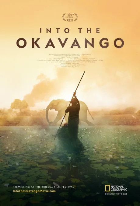 Далеко в Окаванго — постер