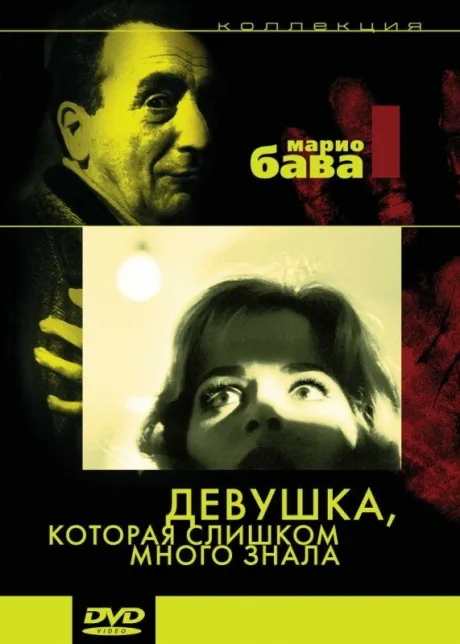 Девушка, которая слишком много знала — постер