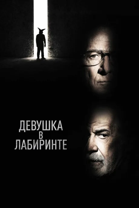 Девушка в лабиринте — постер
